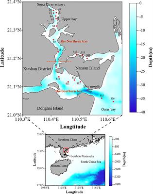 Characteristics of Dissolved Organic Matter in a Semi-closed Bay in Summer: Insights from Stable Isotope and Optical Analyses